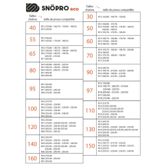 copy of SNO-PRO ECO 100