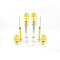 Kit combinés filetés FK suspension sport Audi A6 C5 / 4B Avant 1998-2005 Kit combinés filetés FK suspension sport Audi A6 C5 / 4B Avant 1998-2005
