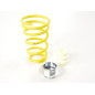 Kit combinés filetés FK suspension sport Fiat 500 à partir de 2007 (AK-STREET) Kit combinés filetés FK suspension sport Fiat 500 à partir de 2007 (AK-STREET)