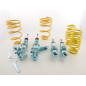 Kit combinés filetés FK suspension sport Honda Civic type EM2, EP1, EP2, EP3, EP4, EU5, EU6, EU7, EU8, EU9 / ES4, ES5, ES6, ES7, Kit combinés filetés FK suspension sport Honda Civic type EM2, EP1, EP2, EP3, EP4, EU5, EU6, EU7, EU8, EU9 / ES4, ES5, ES6, ES7,
