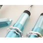 Kit combinés filetés FK suspension sport Honda Civic type EM2, EP1, EP2, EP3, EP4, EU5, EU6, EU7, EU8, EU9 / ES4, ES5, ES6, ES7, Kit combinés filetés FK suspension sport Honda Civic type EM2, EP1, EP2, EP3, EP4, EU5, EU6, EU7, EU8, EU9 / ES4, ES5, ES6, ES7,