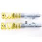 Kit combinés filetés FK pour Peugeot 207 2006-2012 avec jambe de force 47mm Kit combinés filetés FK pour Peugeot 207 2006-2012 avec jambe de force 47mm