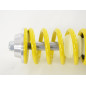Kit combinés filetés FK pour Renault Twingo C06 1993-2007 Kit combinés filetés FK pour Renault Twingo C06 1993-2007