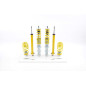 Kit combinés filetés acier inoxydable FK suspension sport VW New Beetle 1998-2010 (AK-STREET) Kit combinés filetés acier inoxydable FK suspension sport VW New Beetle 1998-2010 (AK-STREET)