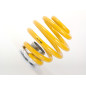 Kit combinés filetés dureté FK Audi TT 8N quattro 98-06 jambe de force 55mm Kit combinés filetés dureté FK Audi TT 8N quattro 98-06 jambe de force 55mm