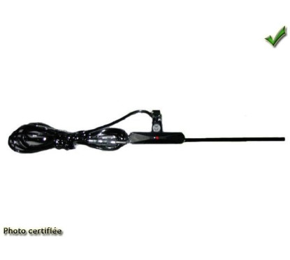 ANTENNE ELECTRONIQUE DE PARE BRISE AMPLIFIEE ( EN REMPLACEMENT 1178)