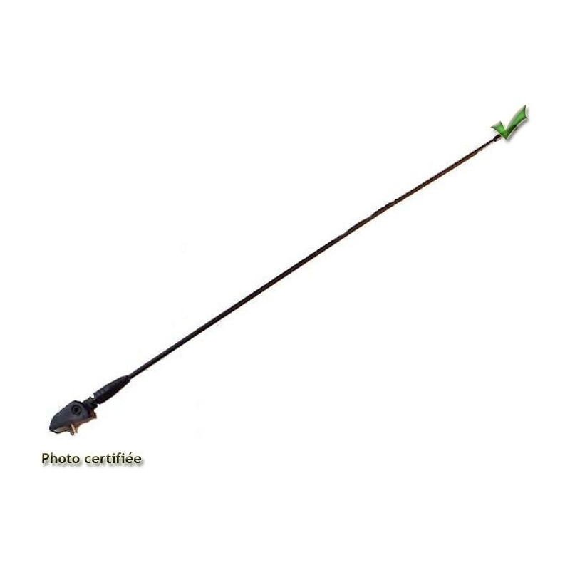 ANTENNE TOIT FIBRE SANS CABLE (59020+1936)