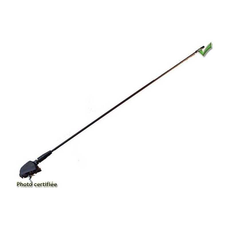 ANTENNE TOIT UNIVERSELLE 2 BRINS TELESCOPIQUES NOIRE AVEC CABLE