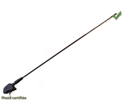 ANTENNE TOIT UNIVERSELLE 2 BRINS TELESCOPIQUES NOIRE AVEC CABLE