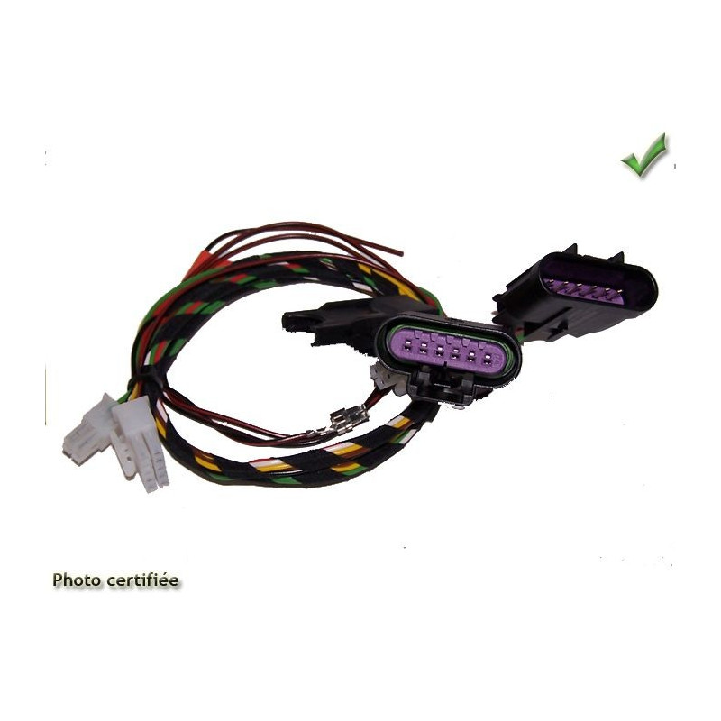 CABLAGE RG9 CHEVROLET CAPTIVA 2006-