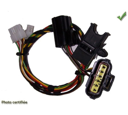 CABLAGE RG9 CHRYSLER SEBRING JEEP COMPASS PATRIOT