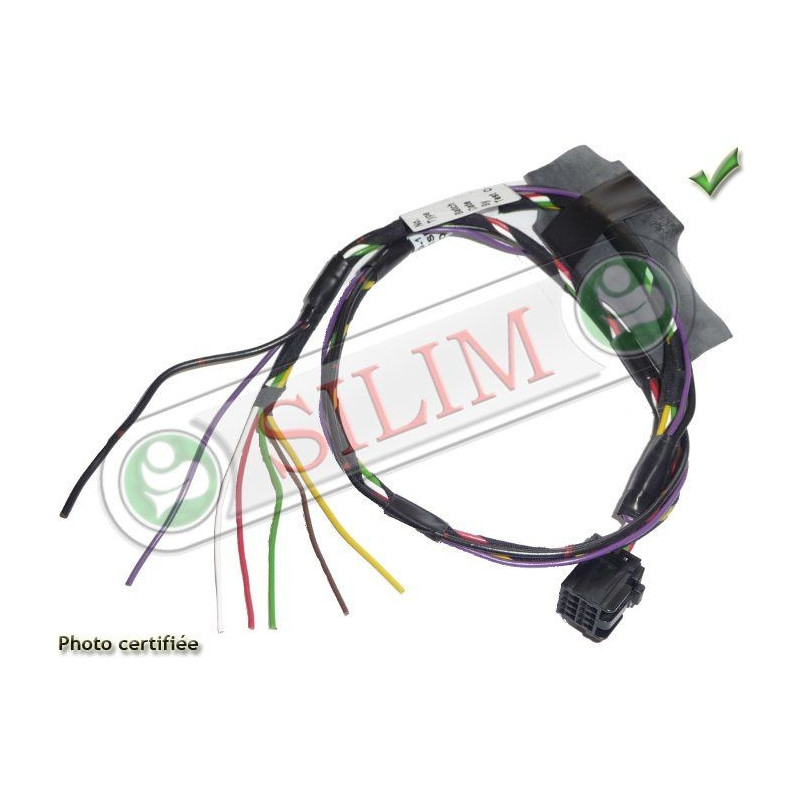 CABLAGE RG9 CHRYSLER VOYAGER 2006-2007 DODGE RAM A SOUDER