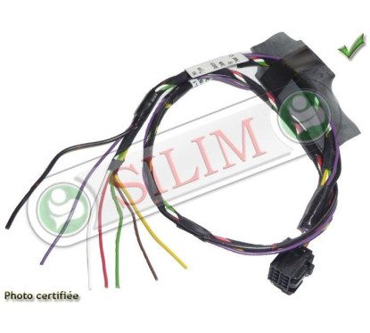 CABLAGE RG9 CHRYSLER VOYAGER 2006-2007 DODGE RAM A SOUDER