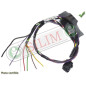 CABLAGE RG9 CHRYSLER VOYAGER 2006-2007 DODGE RAM A SOUDER