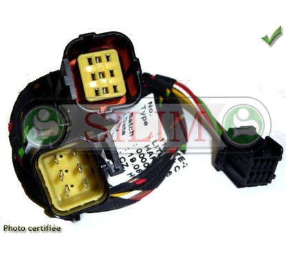 CABLAGE RG9 HYUNDAI KIA