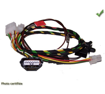 CABLAGE RG9 RENAULT TWINGO 2007-