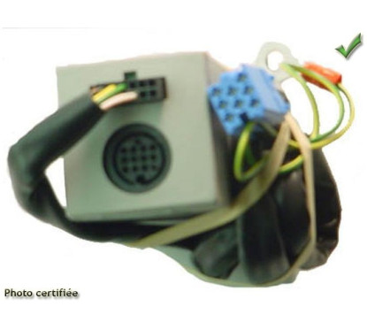 CABLE SPECIFIQUE CD-AUTORADIO CITROEN PEUGEOT -2002 PHILIPS CLARION KENWOOD