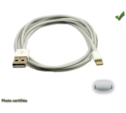 CABLE USB MALE - PRISE APPLE IPOD IPHONE 5 IPAD3 USB 1000MA MAX
