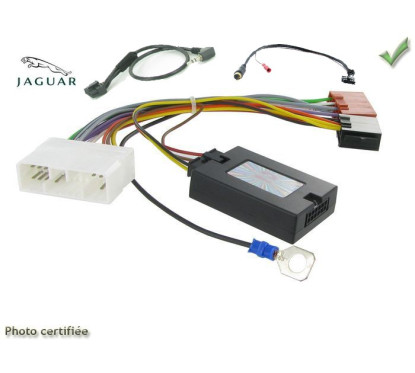 CDE AU VOLANT ALPINE POUR JAGUAR XJ8 1998-2003