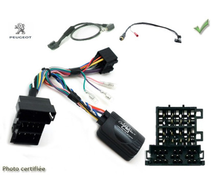 CDE AU VOLANT ALPINE POUR PEUGEOT BOXER -2008