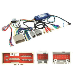 CDE AU VOLANT POUR  FORD F150 2009-2014 AVEC AMPLI