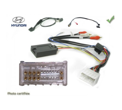 CDE AU VOLANT POUR HYUNDAI SANTA FE 2006-2010 AVEC AMPLI