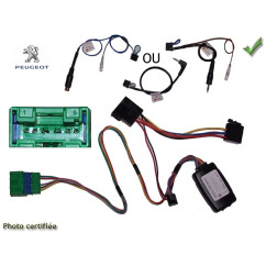 CDE AU VOLANT POUR PEUGEOT 206 1999-2000 AVEC VERT 6 VOIES 4 FONCTIONS