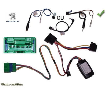 CDE AU VOLANT POUR PEUGEOT 206 1999-2000 AVEC VERT 6 VOIES 4 FONCTIONS