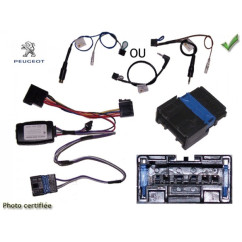 CDE AU VOLANT POUR PEUGEOT 406 1999-2002 AVEC ECRAN SEPARE