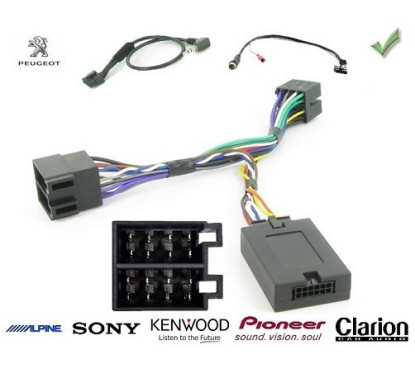 CDE AU VOLANT POUR PEUGEOT BOXER 2006-2008