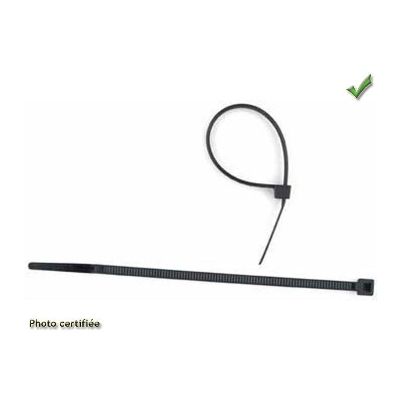 COLLIER A SERTIR RILSAN 100 X 2,5 X 100