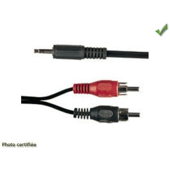 CORDON JACK 3.5 MALE/ RCA MALE 1.20M