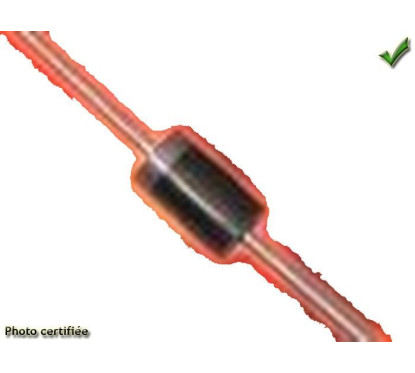 DIODE 1N4007 (PACK DE 50 PIECES)