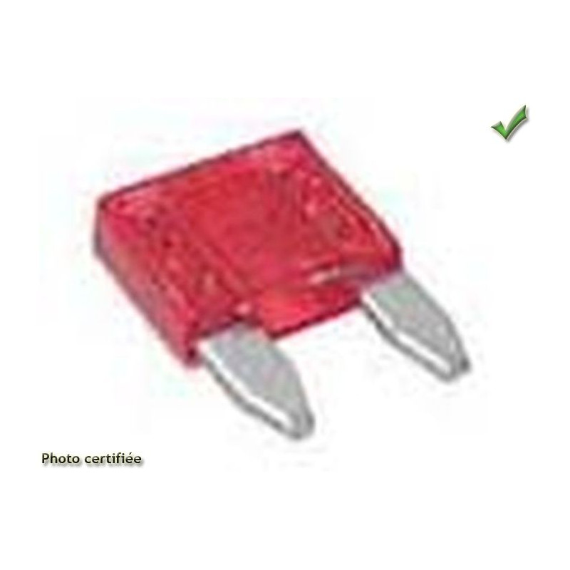 MINI FUSIBLE A BROCHES 10 A PAR 25 PIECES