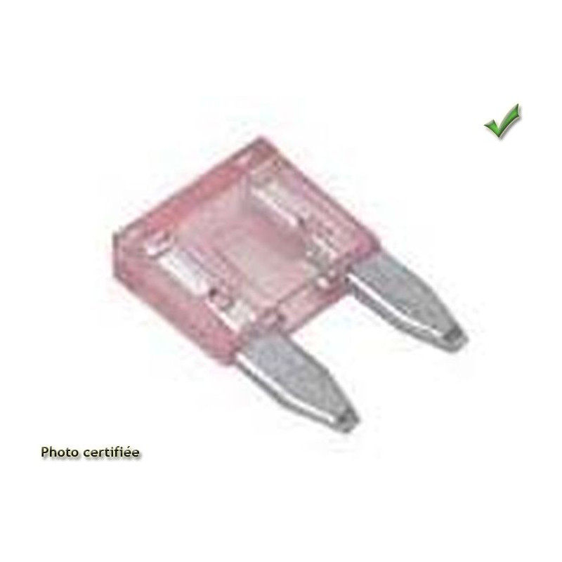 MINI FUSIBLE A BROCHES 30 A PAR 25 PIECES