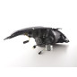Phare Daylight LED DRL look Suzuki Swift 10-13 chrome