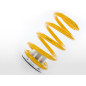 Suspension sport à ressorts FK pour Mini 3 F66 à partir de 2024 Suspension sport à ressorts FK pour Mini 3 F66 à partir de 2024