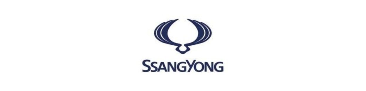Attelage remorque et attache caravane pour voiture Ssang Yong